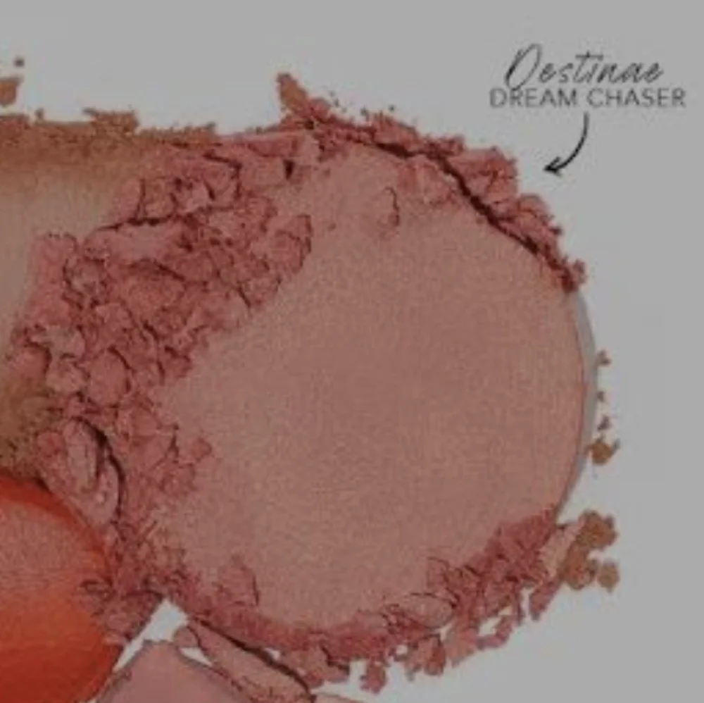 ❇️🧚‍♀️DESTINAE Thrive Causemetics Dream Chaser Reviving Powder Blush NWT